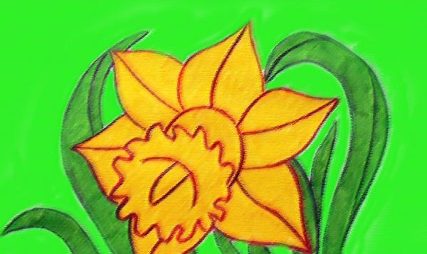 Drawing a daffodil