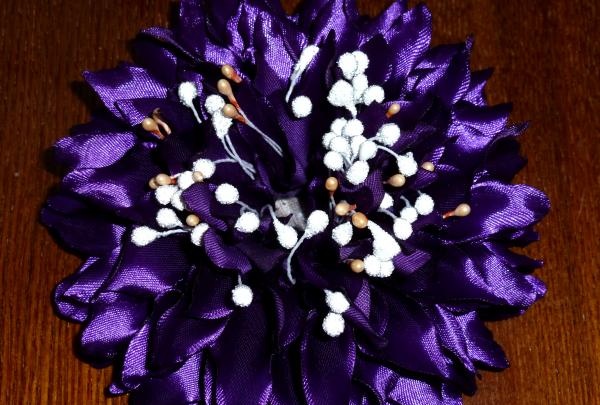 petals with stamens