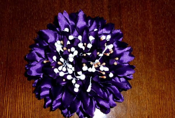 petals with stamens