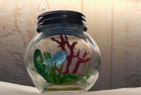 mini aquarium