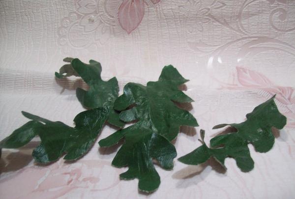 cut out green leaves