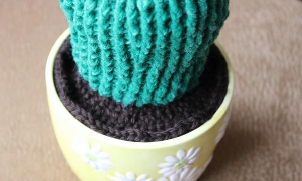 Crochet flowering cacti