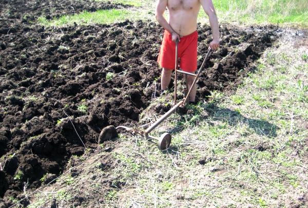 Homemade plow for plowing the land