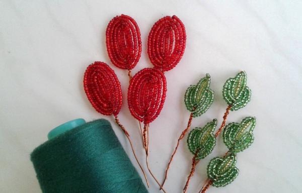 Rose buds with four petals