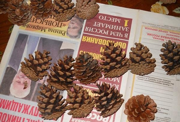 Christmas tree made of forest cones