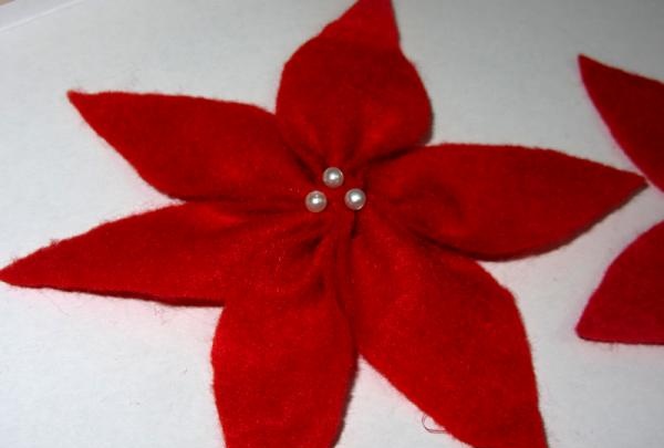 poinsettia flower