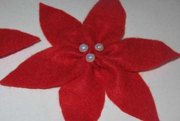 poinsettia flower