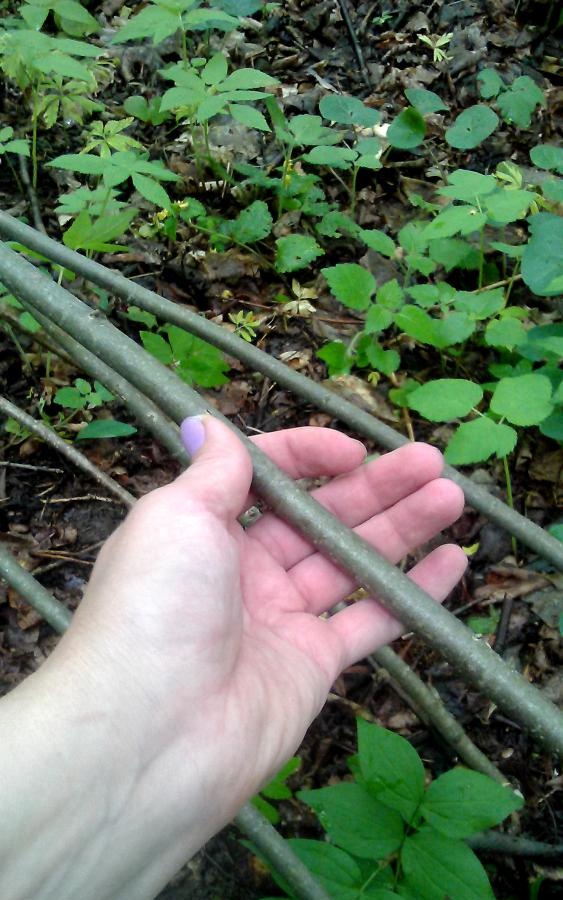 DIY wattle fence