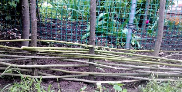 DIY wattle fence