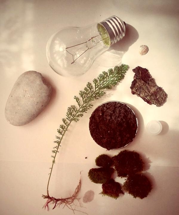 terrarium in a light bulb