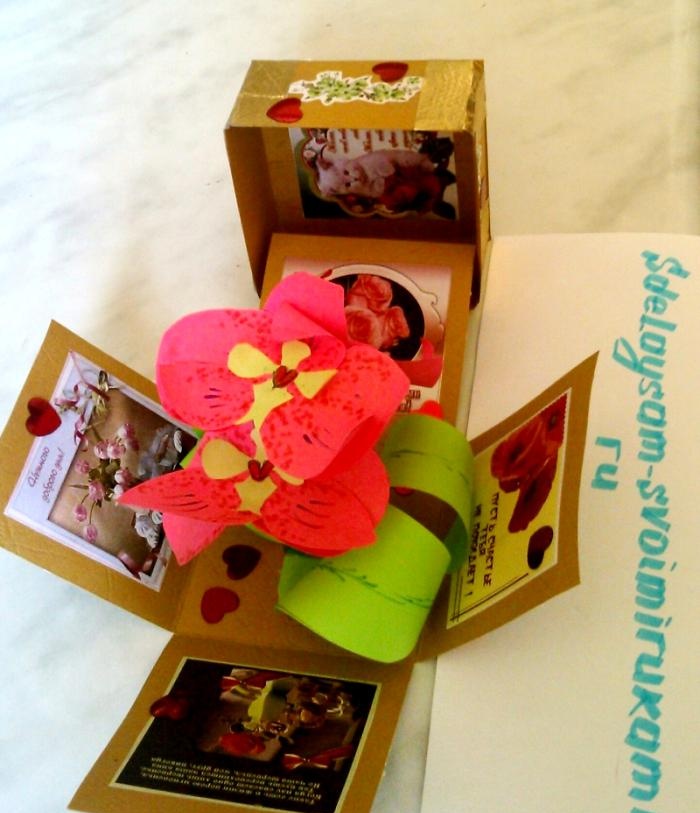 Orchid surprise box