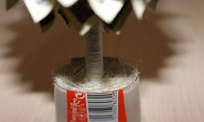 DIY money tree