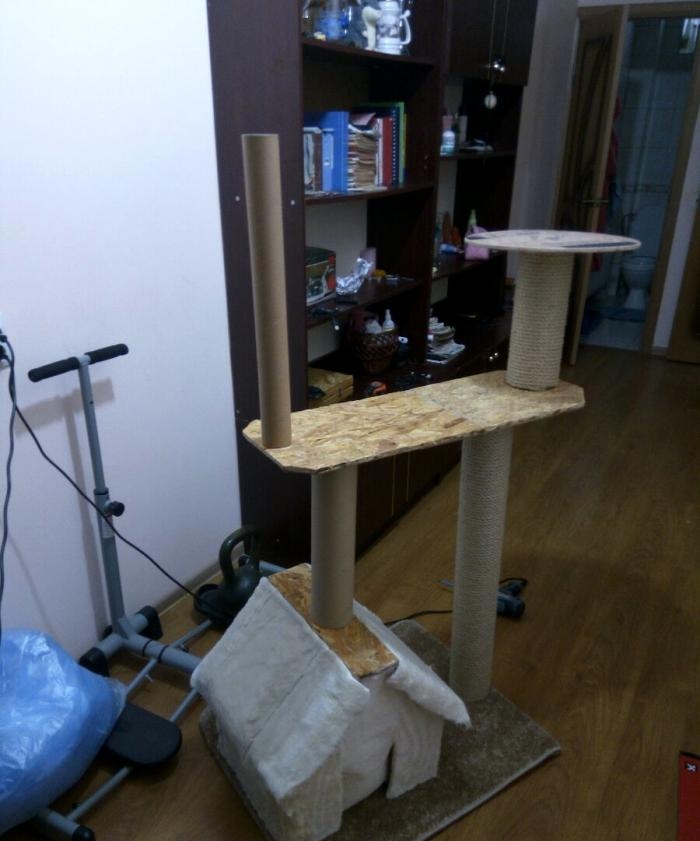 How to make a cat house