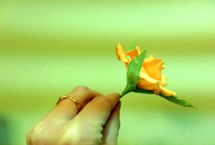 paper flower decoration