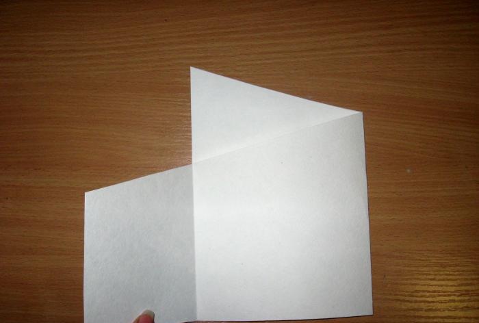 Folding birthday card