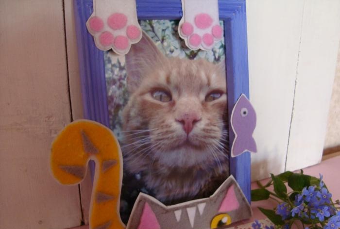 Photo frame decor for a furry pet