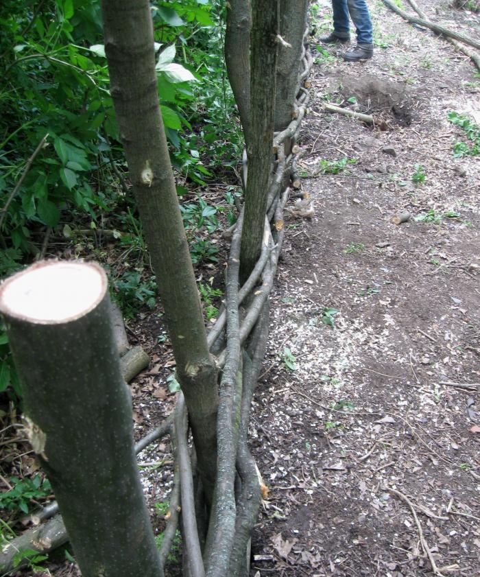 Making a wicker fence