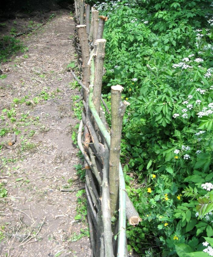 Making a wicker fence