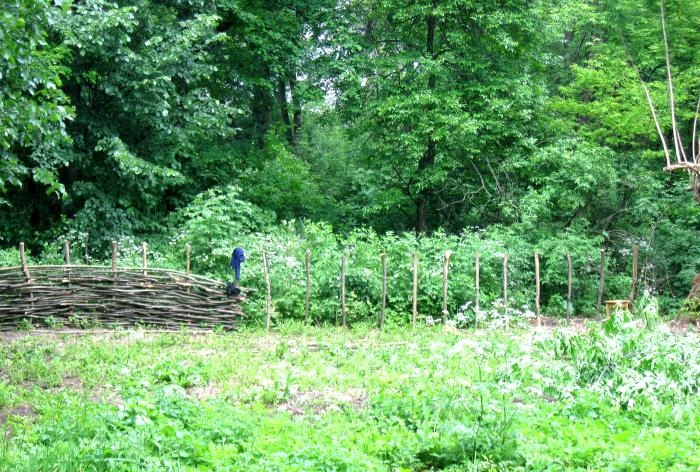 Making a wicker fence