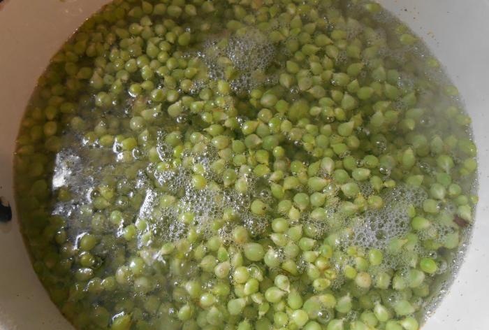 Harvesting for the winter - Green peas