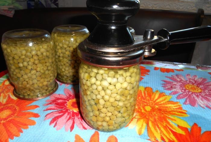 Harvesting for the winter - Green peas