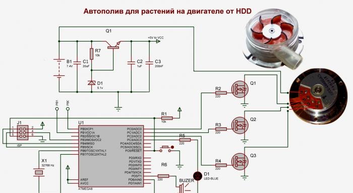 Automatic plant watering device