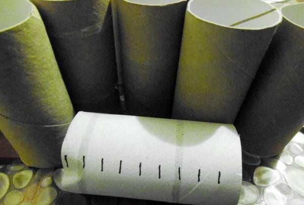 toilet paper rolls