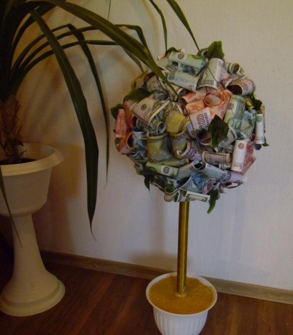 money flower