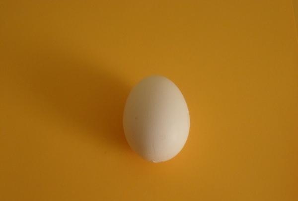 egg