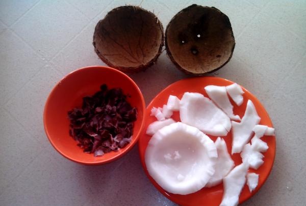 coconut pulp