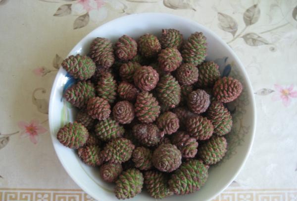 Pine cones