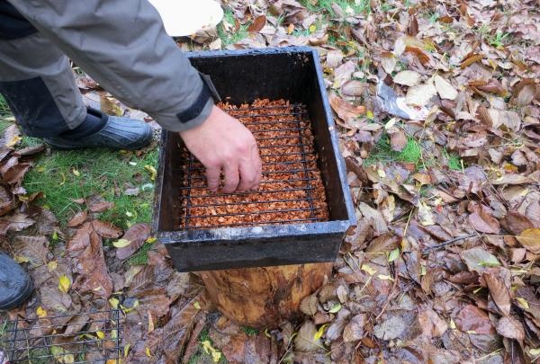 Place wood chips on the bottom of the smokehouse