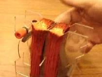 A simple electric generator.