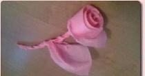 Rose from a napkin