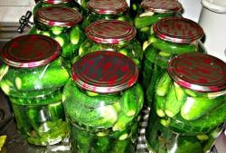 Canning cucumbers