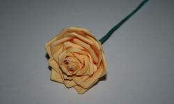 Paper rose