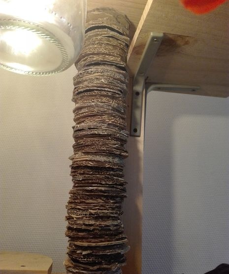 Cardboard scratching post