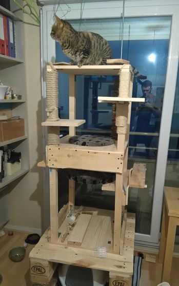 Very tall and durable cat house