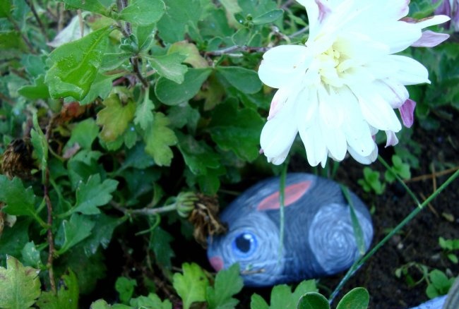 Stone painting for the garden Bunny