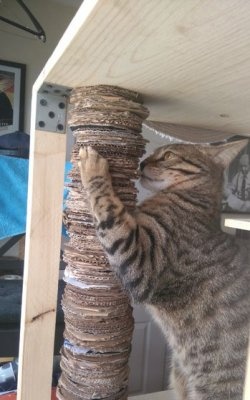 Cardboard scratching post