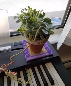 Fabric flower stands