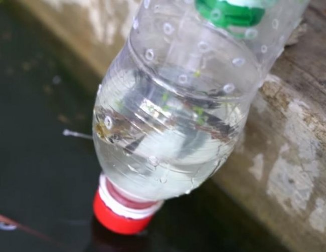 Fishing with a plastic bottle