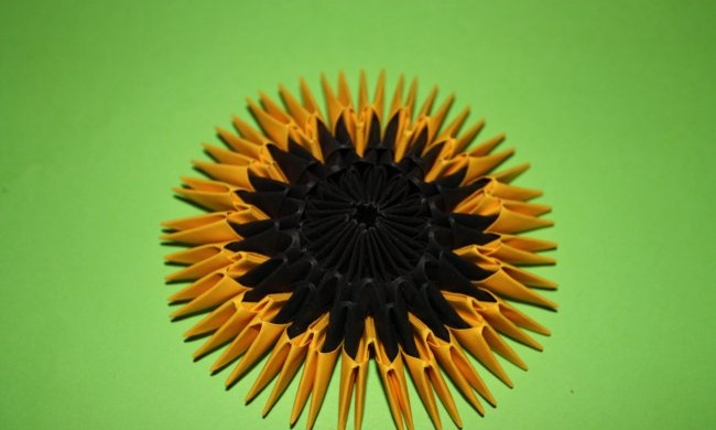 Paper sunflower