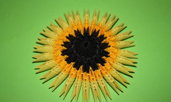 Paper sunflower