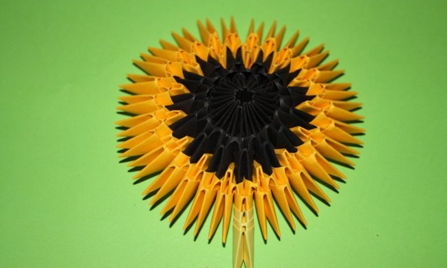 Paper sunflower