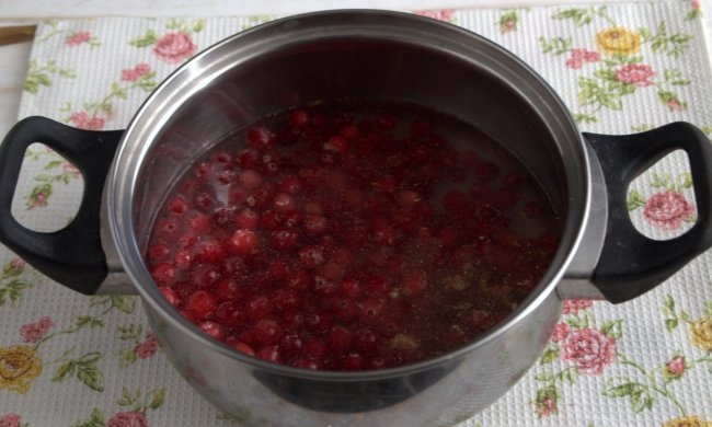 Spiced cranberry marmalade