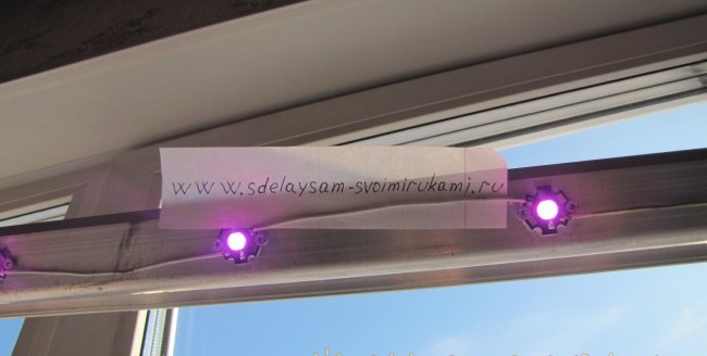 Phyto LED lamp