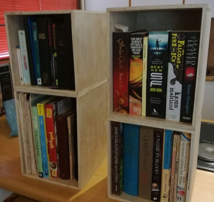 Simple TV table with bookshelves