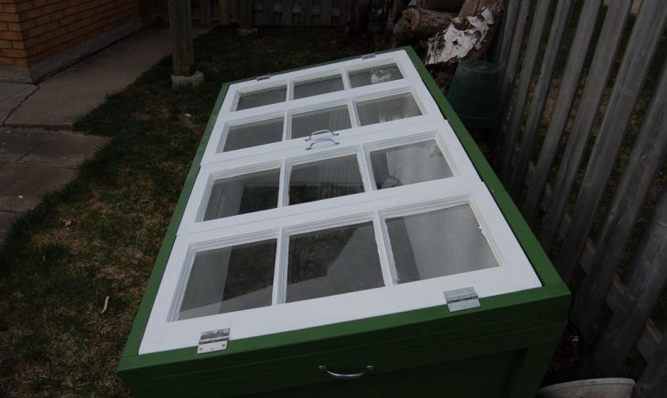 Greenhouse made from old windows