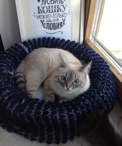 Very simple cat bed